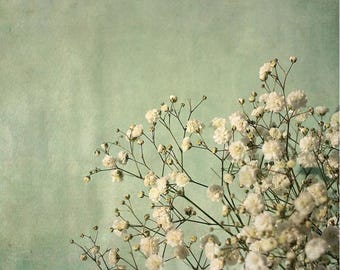 Baby's Breath Photograph: Mint Boho Art Print