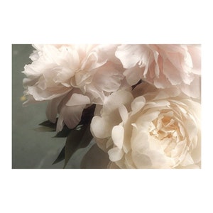 Pastel Peony Art Print, Flower Photograph