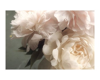 Pastel Peony Art Print, Flower Photography, Bedroom Art, French Country Decor