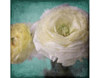 Ranunculus Flower Photography, Dark Moody Decor