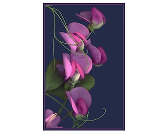 Sweet Pea Flower Print: Modern Botanical Art