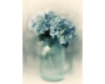 Hydrangea  Flower Still Life Photograph, Dark Blue