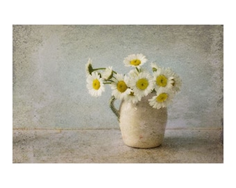 Still Life Photograph, White Daisy Art,  Flower Photograph, Farmhouse Decor,  Rustic Wall Decor