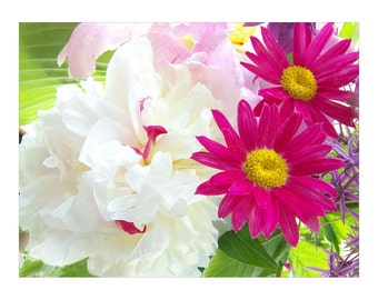 Flower  Photo Card, Peony Daisy Card