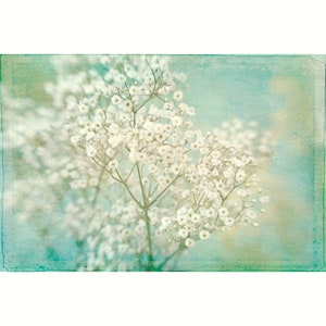 Baby's Breath Flower Print, Flower Photograph, White Turquoise Wall Art Bild 1