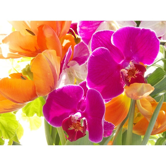 Orchid Tulip Flower Photograph, Vibrant Magenta Orange Decor, Bright Neon  Wall Art, Colorful Art 