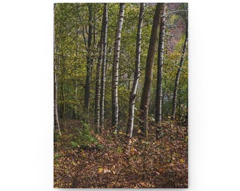 May include: A journal featuring a forest scene. The image showcases tall, slender birch trees with white and black bark, surrounded by lush green foliage and fallen brown leaves. The scene evokes a sense of tranquility and natural beauty.
