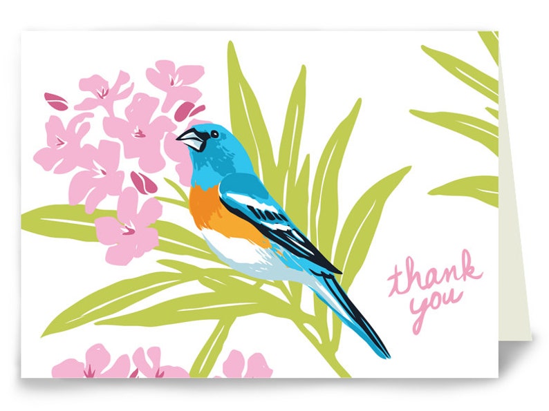 Thank You Birds TYBIRDBOX Box of 8 Assorted Cards 4 designs