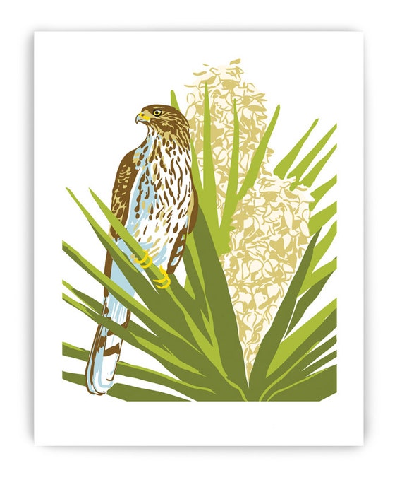 Coopers Hawk Gift Card Promotion / Cooper S Hawk Flies Virtually Into