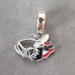 Puerto Rico Frog Dangle Charm For Pandora Bracelets Fashion Jewelry Pendant Gift for her 925 Silver Handmade Jewelry Charm for Women Girls