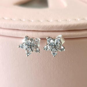 925 Sterling Silver Sparkling Herbarium Cluster Stud Earrings,Earrings for women,Fashion jewelry,Gift for her