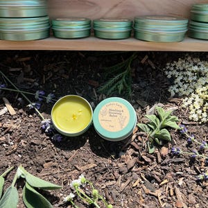 Gentle Skin Repair Salve - (Healing & Drawing Salve)