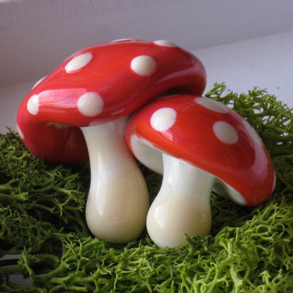 Lucky Mushrooms - Glückspilz