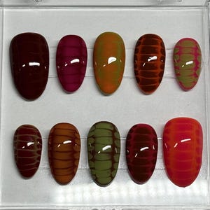May include: A set of ten oval-shaped false nails in a clear plastic case. The nails feature a variety of colors, including burgundy, pink, orange, and green, with a textured, reptile-like pattern. The nails are designed for cosmetic use.