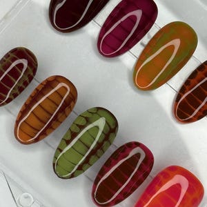 May include: A collection of oval-shaped artificial nails in various colors, including burgundy, pink, orange, green, and brown. Each nail features a unique pattern with a white curved line and a grid-like design, creating a textured appearance.
