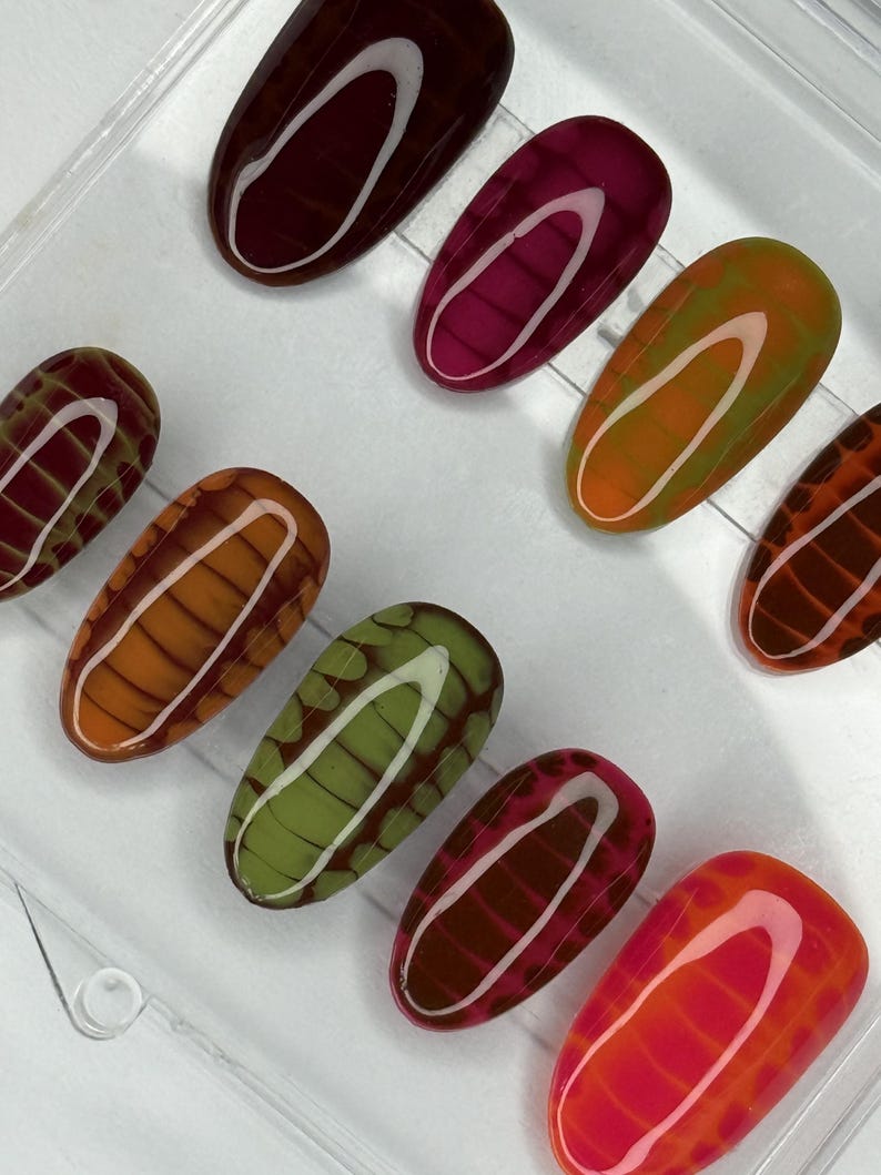 May include: A collection of oval-shaped artificial nails in various colors, including burgundy, pink, orange, green, and brown. Each nail features a unique pattern with a white curved line and a grid-like design, creating a textured appearance.