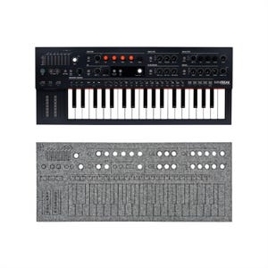 Arturia polybrute プロテクトカバー Arturia Polybrute cover (Soft-fit) - Decksaver