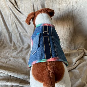 May include: A denim dog vest with a rainbow trim and a small pocket. The vest has a black strap with a gold stripe and a metal D-ring. The dog's fur is white and brown.