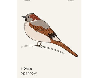 Poster verticale opaco con illustrazione di un passero domestico / stampa artistica da parete con uccelli, stampa naturalistica