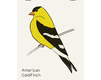 Poster del cardellino americano - Illustrazione verticale di un uccello disegnata a mano - Decorazione murale