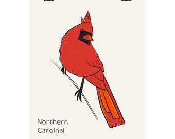 Poster verticale opaco del Cardinale settentrionale / Illustrazione di uccello disegnata a mano, arte murale naturalistica