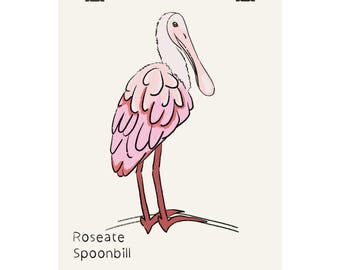 Poster opaco della spatola rosata / Illustrazione di un uccello rosa disegnata a mano, stampa verticale