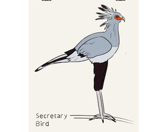 Poster verticale opaco con uccello segretario / Stampa illustrata di uccello, arte murale naturalistica