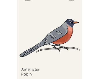 Poster con illustrazione del pettirosso americano / Stampa artistica di un uccello disegnato a mano