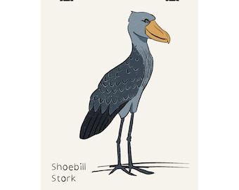 Poster con becco a scarpa / Illustrazione di uccello disegnata a mano, stampa animale unica