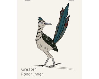 Poster opaco del corridore della strada maggiore / Stampa illustrata dell'uccello