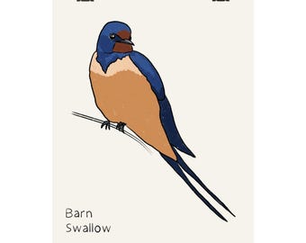 Poster di rondine / Illustrazione di uccello, Arte minimalista per la cameretta, Disegnato a mano