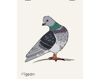 Poster con illustrazione di un piccione / Stampa artistica di un uccello disegnato a mano