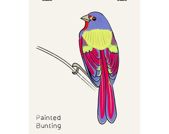 Stampa di un passero dipinto / Illustrazione di un uccello realizzata a mano - Poster