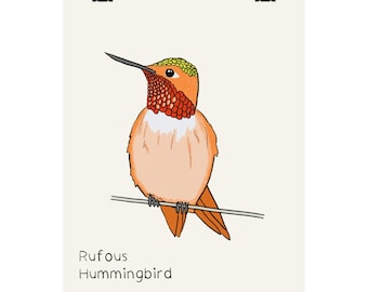 Poster con colibrì rossiccio / Illustrazione di uccello disegnata a mano, decorazione murale per la cameretta dei bambini