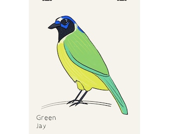 Poster opaco con illustrazione di una ghiandaia verde / Stampa di un uccello, decorazione murale a tema naturalistico