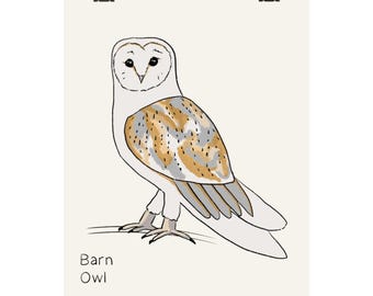 Poster con illustrazione di barbagianni / Stampa artistica di uccelli selvatici disegnata a mano