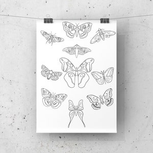 May include: A black and white printable sheet with illustrations of various butterflies and moths. The sheet is ready to be colored in.