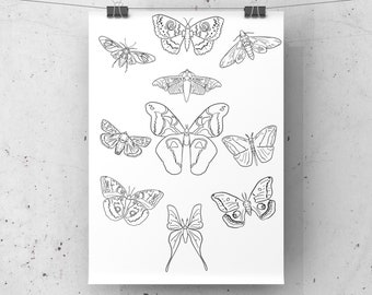 Moth Coloring Sheet ~ moth illustration ~ Wall Art ~ Printable Adult coloring sheet ~ Line Drawing Print ~ Digital Download