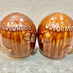 Vintage Brown Ceramic Souvenir Colorado Pinecone Salt and Pepper Shakers. Salt and Pepper Collection. Price Includes Shipping!