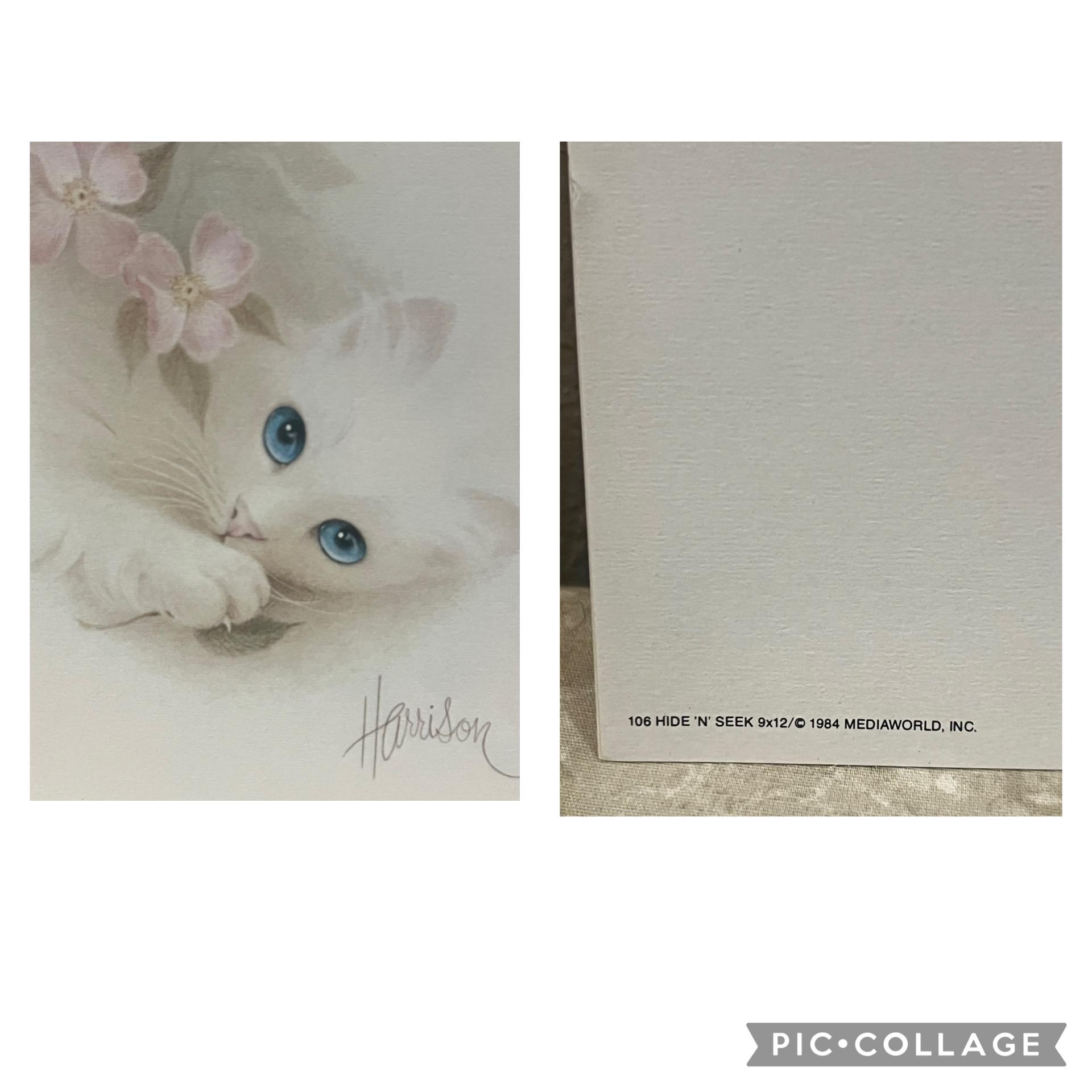 Vintage Bob Harrison Cat Prints - 1984 Set of 4 - Etsy
