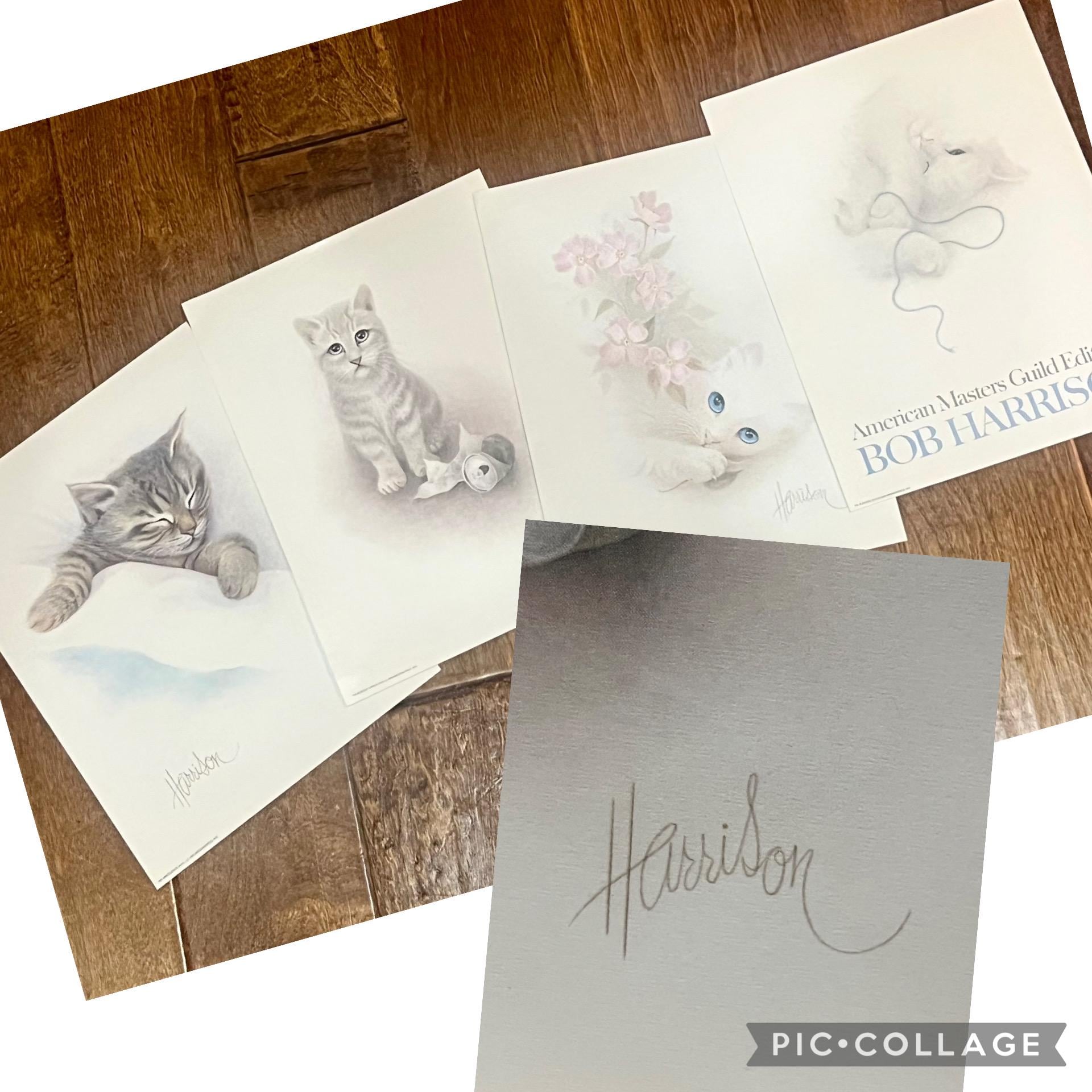 Vintage Bob Harrison Cat Prints - 1984 Set of 4 - Etsy