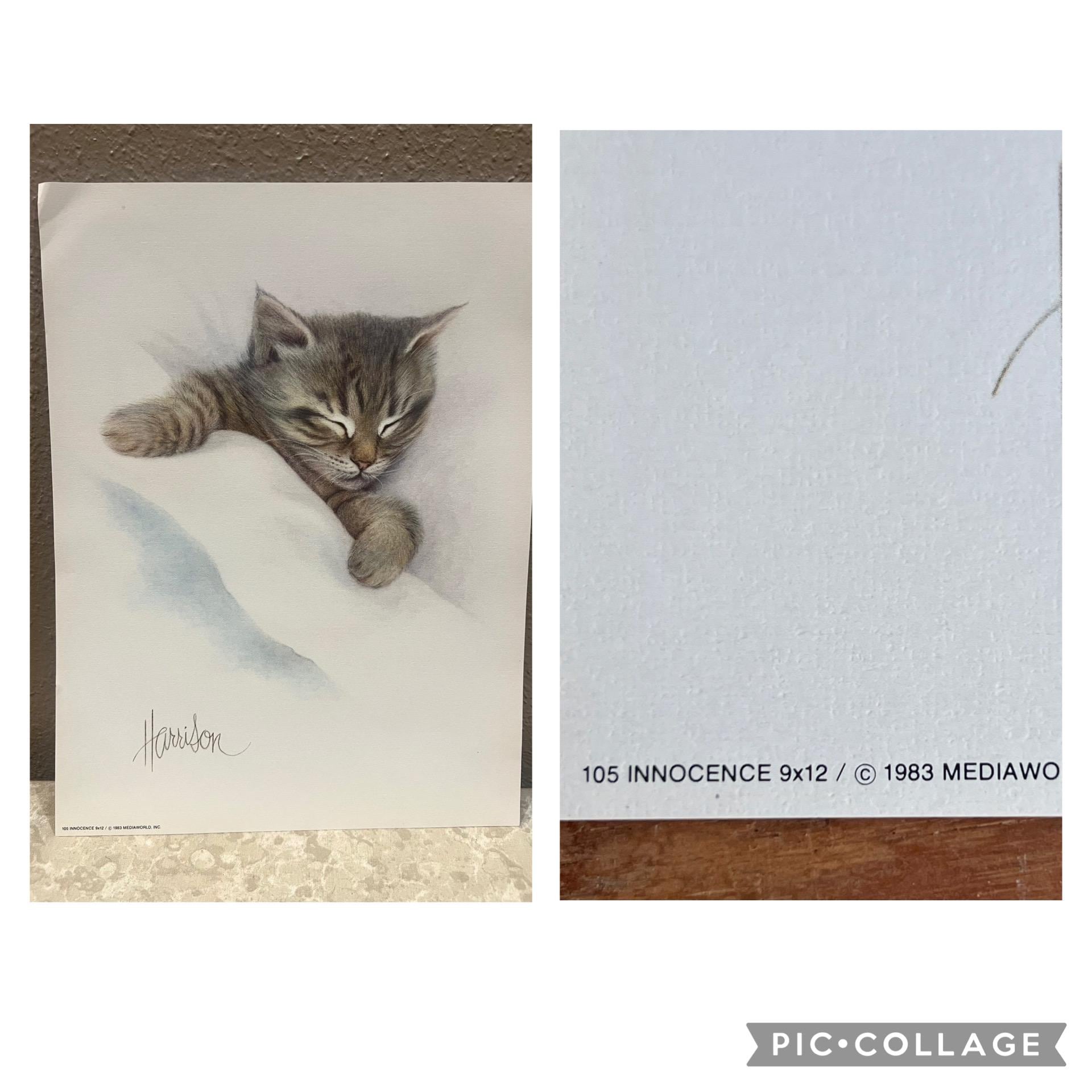 Vintage Bob Harrison Cat Prints - 1984 Set of 4 - Etsy