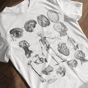 Vintage Anatomy Illustration T-Shirt: Medical Gift for Doctors & Nurses