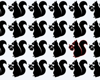 Squirrel with Nut  Decals
