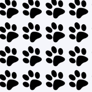 Paw Print Decals