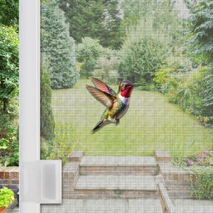 May include: A vibrant hummingbird with red, green, and brown plumage hovers in front of a screen door. The bird's wings are spread, showcasing its colorful feathers. The background features a lush green garden with a stone staircase.