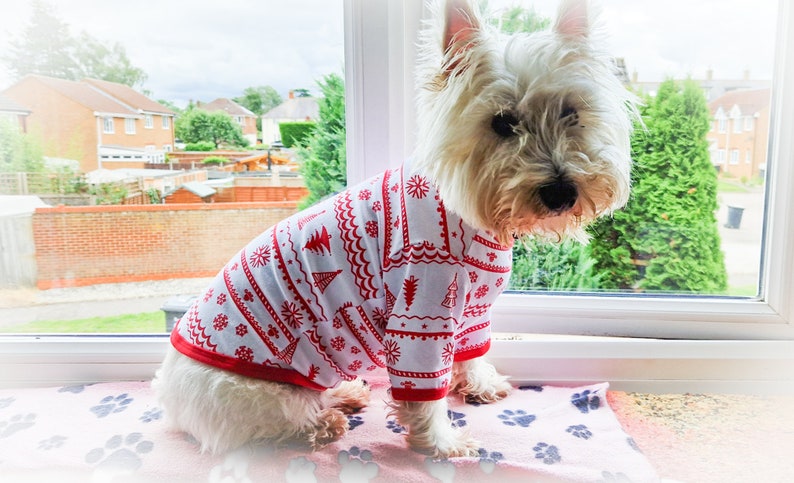 Dog Christmas Pyjamas