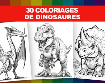 Dinosaur coloring: Book of 30 coloring pages