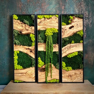 Handcrafted Olive Wood and Preserved Moss Wall Art, Custom Made Wooden Wall Art, Wooden Rustic Wall Art, Unique Home Gift