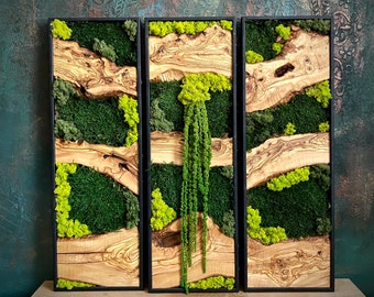 Handgefertigte Wandkunst aus Olivenholz und konserviertem Moos, individuelle Holzwandkunst, rustikale Holzwandkunst, einzigartiges Wohngeschenk